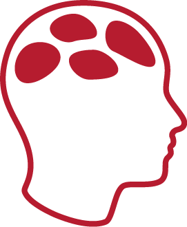 Desarrollo cognitivo